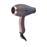 سشوار کم صدا 2200وات پرنسلی مدل PR262AT - Image 2